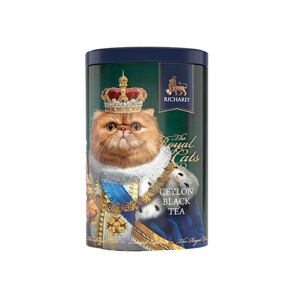 Richard RH06033 cat ginger